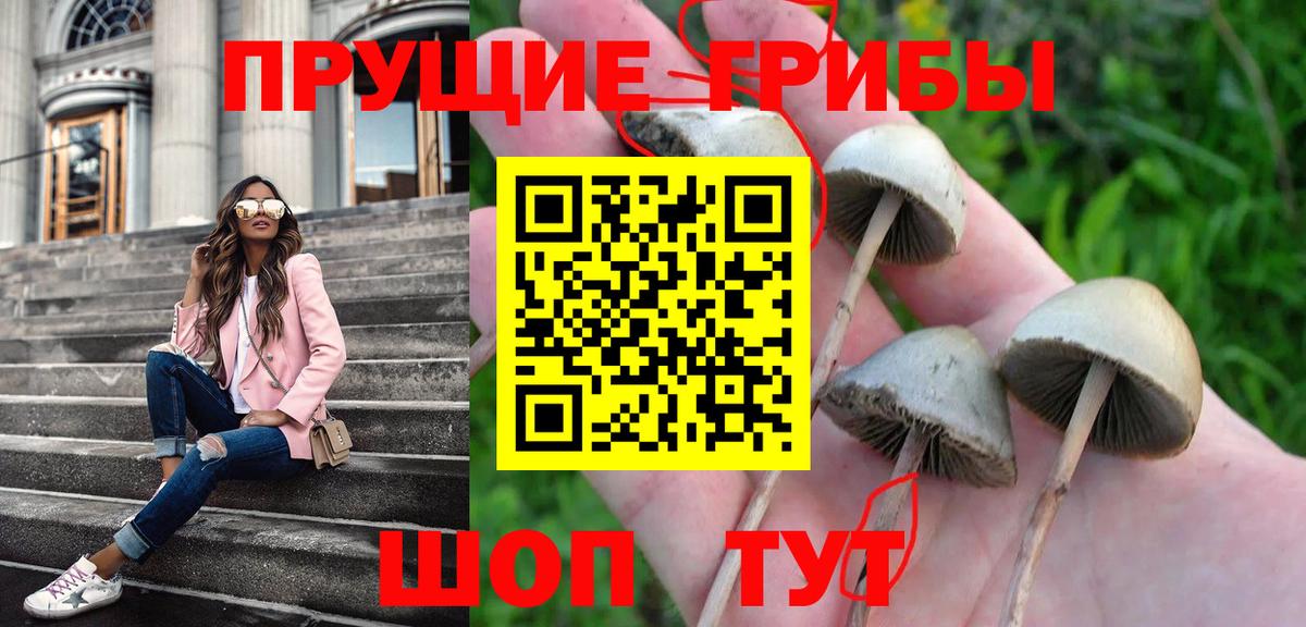 Галлюциногенные грибы мицелий  Вход с VPN  Галлюциногенные грибы MAGIC MUSHROOMS  Мирный 